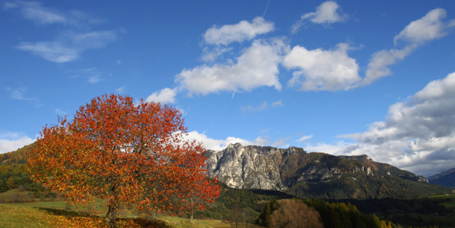 Val di Fiemme Cornon