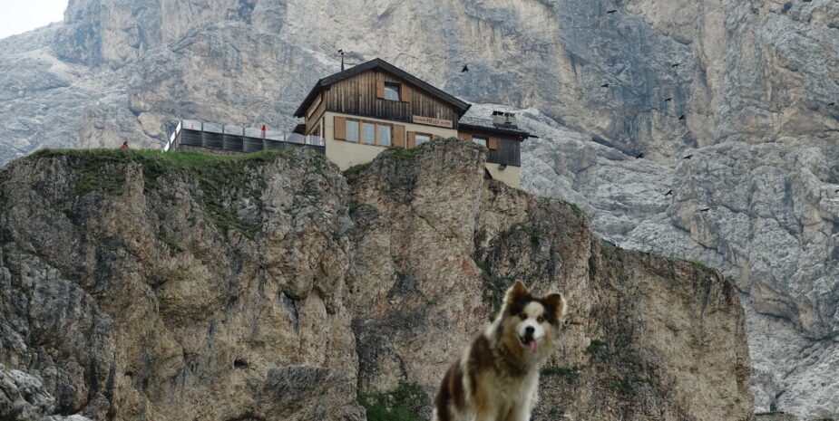 Trekking Escursioni Berghotel Miramonti