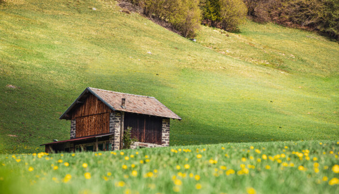 Berghotel Miramonti Trekking Val di Fiemme