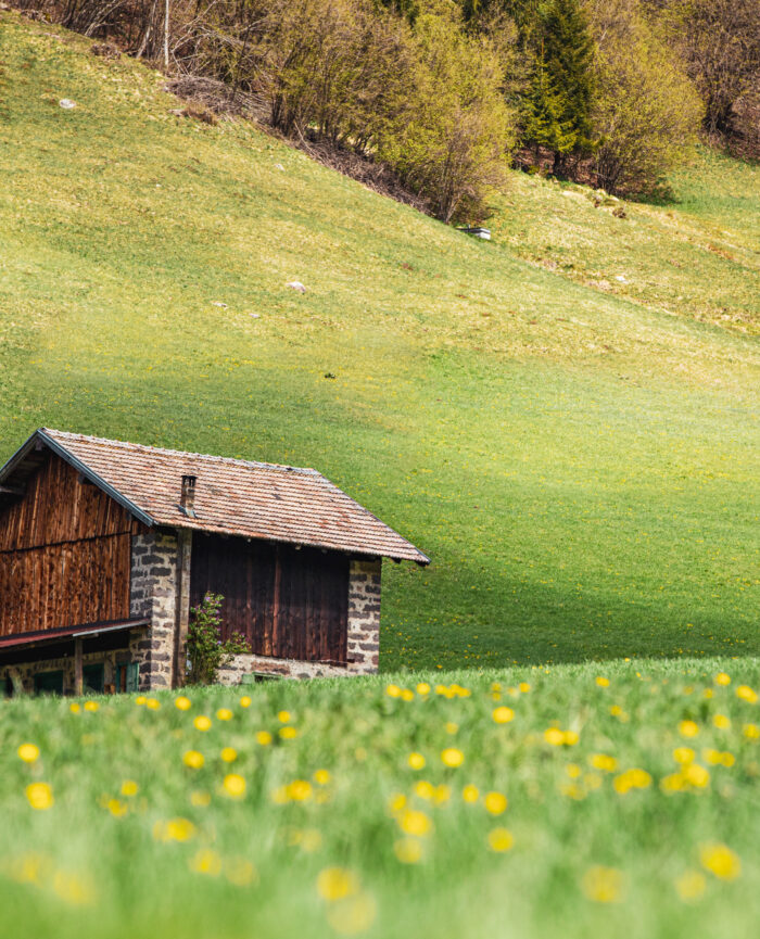 Berghotel Miramonti Trekking Val di Fiemme